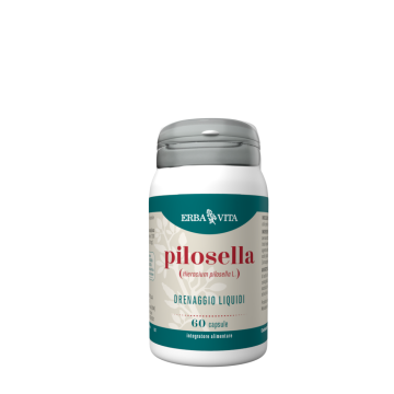 Pilosella 60 Capsule