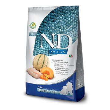 N&d ocean dog merluzzo zucca cantalupo puppy med/max kg 2,5