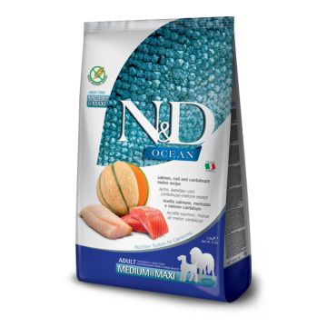 N&d ocean dog salmone merluzzo cantalopo adult med/max kg 12 N&d ocean dog salmone merluzzo cantalopo adult med/max kg 12