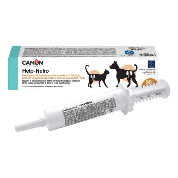 Help-nefro pasta siringa 30 g