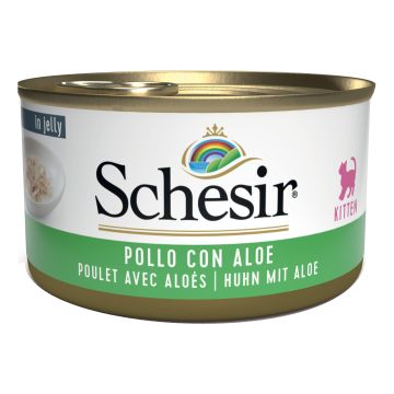 Schesir Gatto Lattina In Jelly Kitten Pollo & Aloe 85 Gr