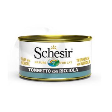 Schesir Gatto Lattina In Jelly Adulto Tonnetto & Ricciola 85 Gr