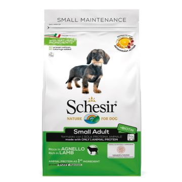 Schesir dog dry mantenimento ricco in agnello small 2 kg