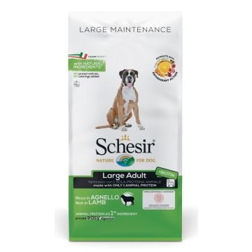 Schesir dog dry mantenimento ricco in agnello large 12 kg