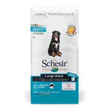 Schesir dog dry mantenimento ricco in pesce large 12 kg