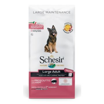 Schesir dog dry mantenimento con prosciutto large 12 kg