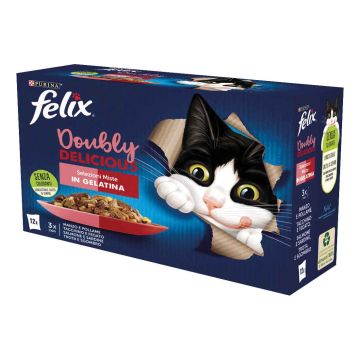 Felix doubly delicious selezioni miste 12 x 85 g Felix doubly delicious selezioni miste 12 x 85 g