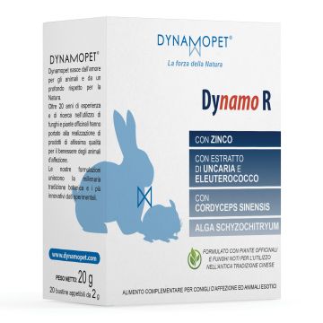 Dynamo R 20 Bustine Da 2 G