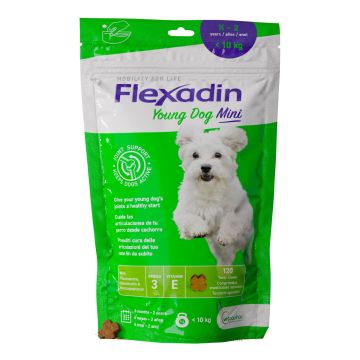 Flexadin Young Mini 120 Tavolette Appetibili