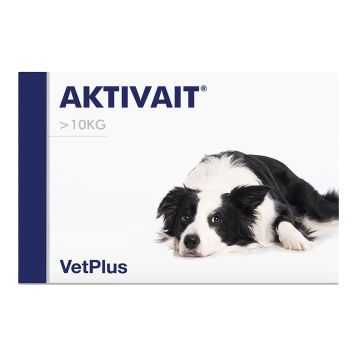 Aktivait Medium & Large Breed 60 Compresse