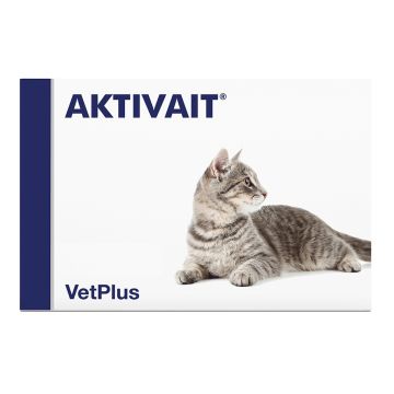 Aktivait cat 60 capsule