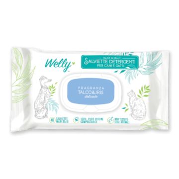 Welly salviette detergenti delicate talco & iris 40 pezzi