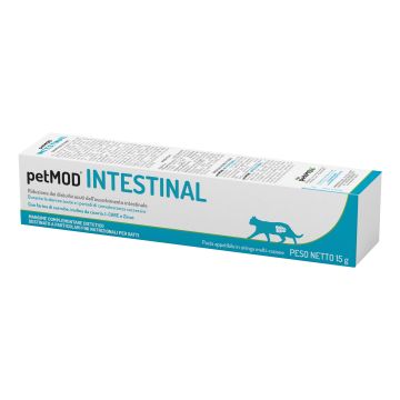 Petmod intestinal gatto pasta 15 g