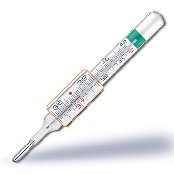 Pic Termometro VedoEcoplus In Vetro Al Gallio 1 Pezzo