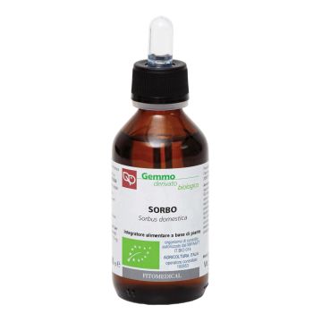 Sorbo macerato glicerinato bio 100 ml