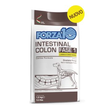 Forza 10 dog all breeds adulto intestinal colon fase 1 agnello/sorgo dry 1,5 kg Forza 10 dog all breeds adulto intestinal colon fase 1 agnello/sorgo dry 1,5 kg