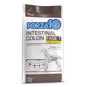 Forza 10 active intestinal colon fase i dogall adult agnello sorgo 10 kg Forza 10 active intestinal colon fase i dogall adult agnello sorgo 10 kg