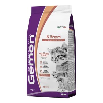 Gemon kitten salmone riso 2 kg