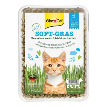 Gimcat erba-gatto ex soft 100g