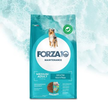Forza 10 Cane Maintenance Adulto Medium Pesce 12 Kg