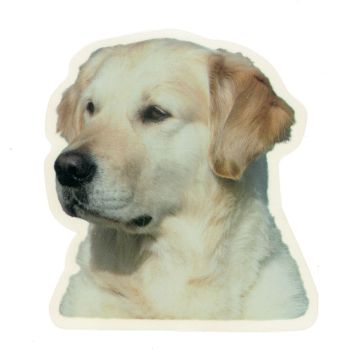 Camon Cane Desivo Golden Retriver Cf. (2 Pezzi)