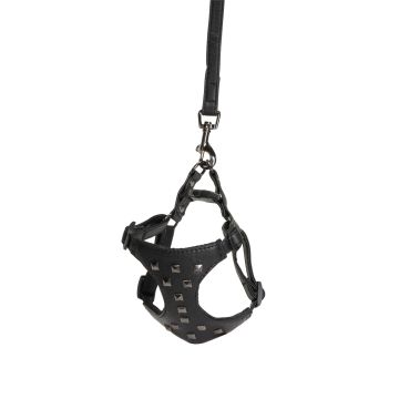 Camon Cane Parure Pettorina + Guinzaglio Similpelle Con Borchie 15 Mm X 120 Cm Tg. Large Nero