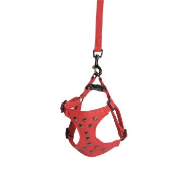 Camon Cane Parure Pettorina + Guinzaglio Similpelle Con Borchie 15 Mm X 120 Cm Tg. Large Rosso