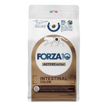 Forza 10 active intestinal colon cat adult pesce dry 400 g