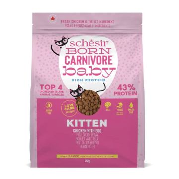 Schesir Gatto Born Carnivore Baby Kitten Pollo & Uova 255 Gr