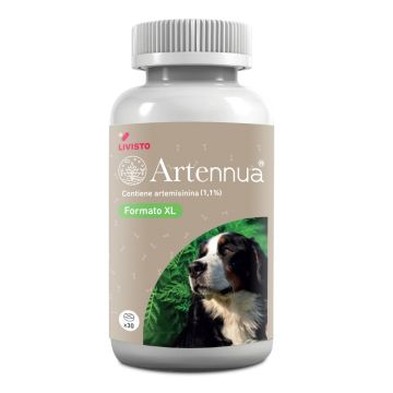 Artennua xl 30 compresse