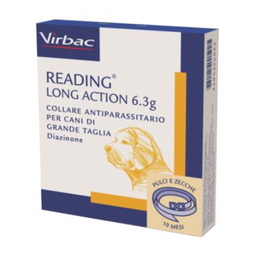 Reading long act cani grandi