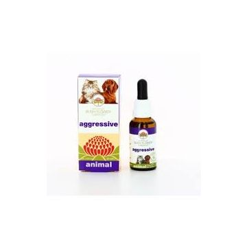 Aggressive 30ml