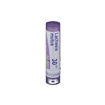 Lachesis mutus 30lm gr