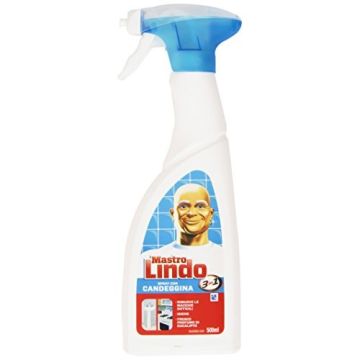 MASTROLINDO 500ML SPRAY CANDEGGINA