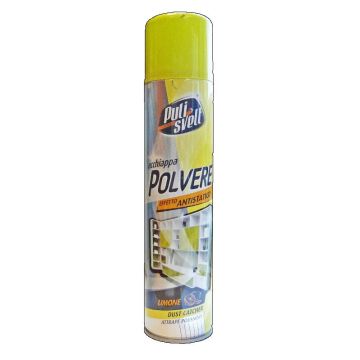 BERGEN ACCHIAPPAPOLVERE SPRAY 300ML LIMONE