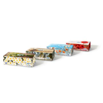 PERLA VELINE BOX 80PEZZI
