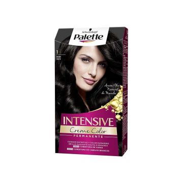 PALETTE - Intensive creme color - Tinta per capelli permanente n. 1 nero