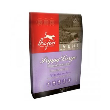 Orijen Cane Puppy Large 11,4 Kg