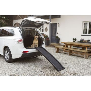 Kerbl Cane Rampa In Plastica 160X42 Cm