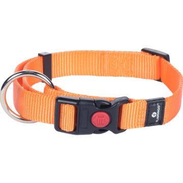 Flamingo Cane Collare In Nylon "Ziggi" 20 Mm X 40-55 Cm Arancio