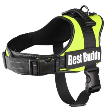 Flamingo Cane Pettorina In Nylon Con Imbottitura "Best Buddy Pluto" 95-130 Cm X 50 Mm Neon Verde