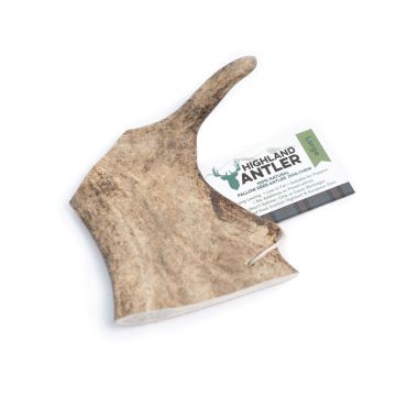 Highland Antler Fallow Cane Snack Corna Di Daino Tg. Large