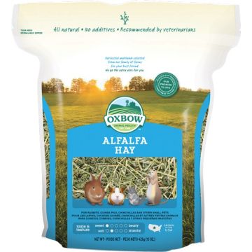 Oxbow Fieno Alfalfa Hay 425 Gr