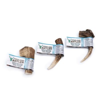 Highland Antler Cane Snack Corna Di Cervo Tg. Small