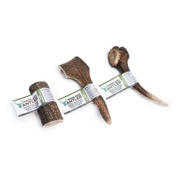 Highland Antler Cane Snack Corna Di Cervo Tg. Large