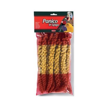 Padovan Panico Giallo In Spiga 250 Gr