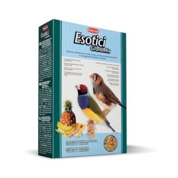 Padovan Esotici Grandmix 400 Gr