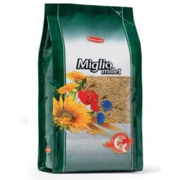 Padovan Miglio Giallo 1 Kg