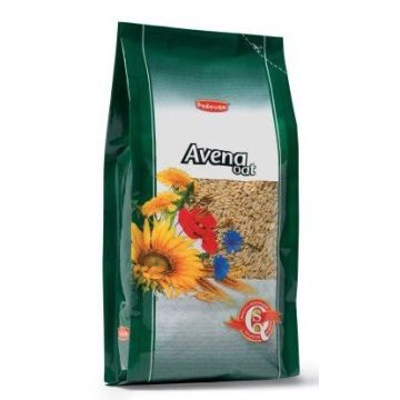Padovan Avena Decorticata 1 Kg
