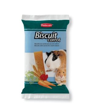 Padovan Conigli Nani/Roditori Snack Biscuit Carrot Biscotti Con Carote 30 Gr